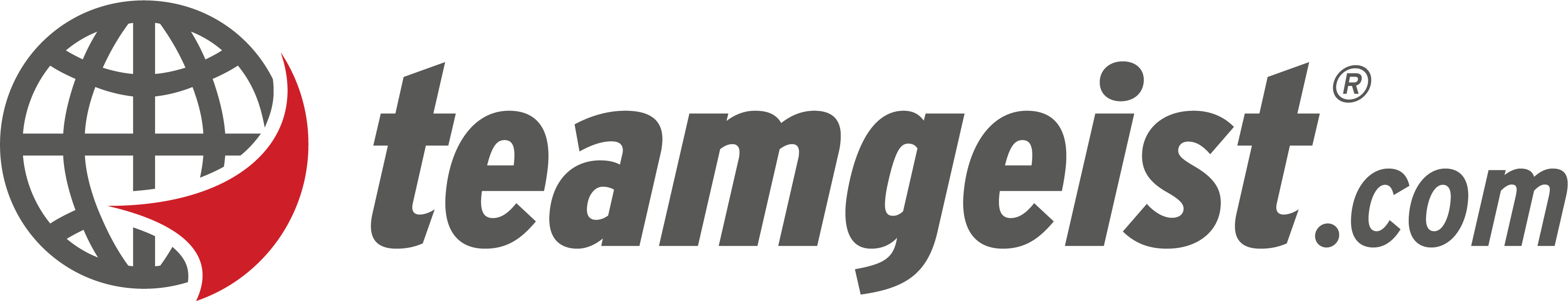 teamgeist logo bi